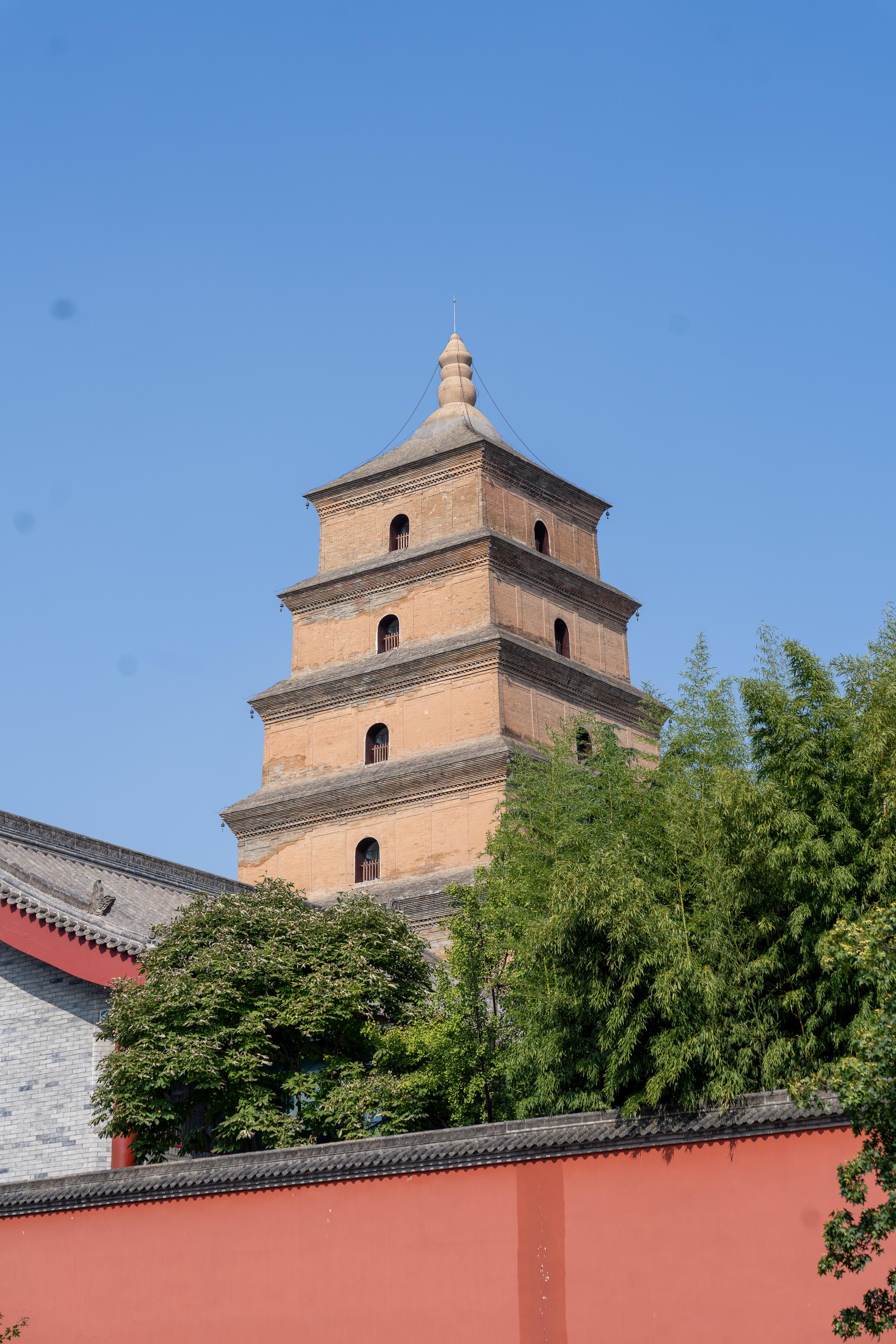 Under the blue sky, a close-up of the upper half of a square brick tower: the tower body is made of earth-yellow bricks, with small arched windows on each floor, and a pointed brake on the top of the tower; the lower part of the tower is blocked by dense green trees and bamboo forests, and at the bottom of the frame is a red wall and gray tile roof eaves.