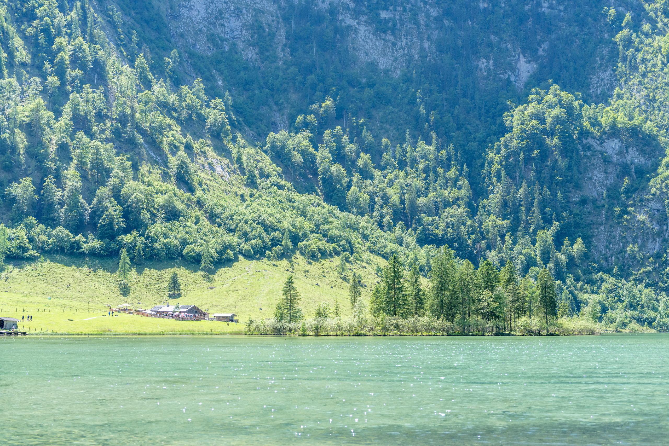The scenery on the other side of the lake: The lake is green with shimmering waves. On the shore is a bright green grass slope. There are several low wooden houses with dark roofs on the grass slope. Above the grass slope are dense coniferous forests and exposed gray rock walls, which almost fill the entire frame.