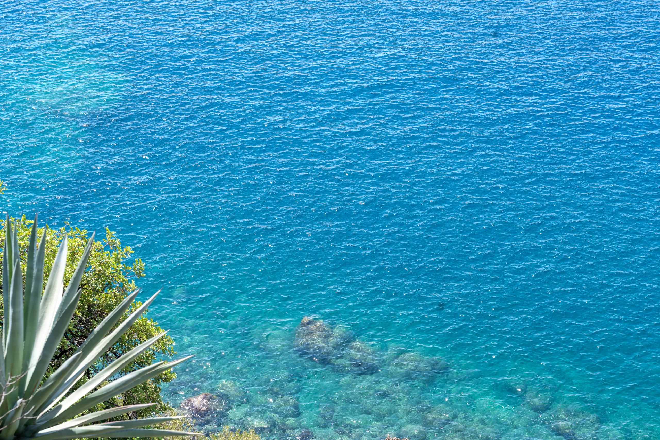 The sea surface is photographed from a high place. The sea occupies the vast majority of the frame. The nearby water surface appears transparent green due to the sunlight. You can vaguely see the underwater rocks and rocks, which gradually turn into a rich blue in the distance. In the lower left corner, there is a clump of light green agave and shrub leaves extending into the frame.