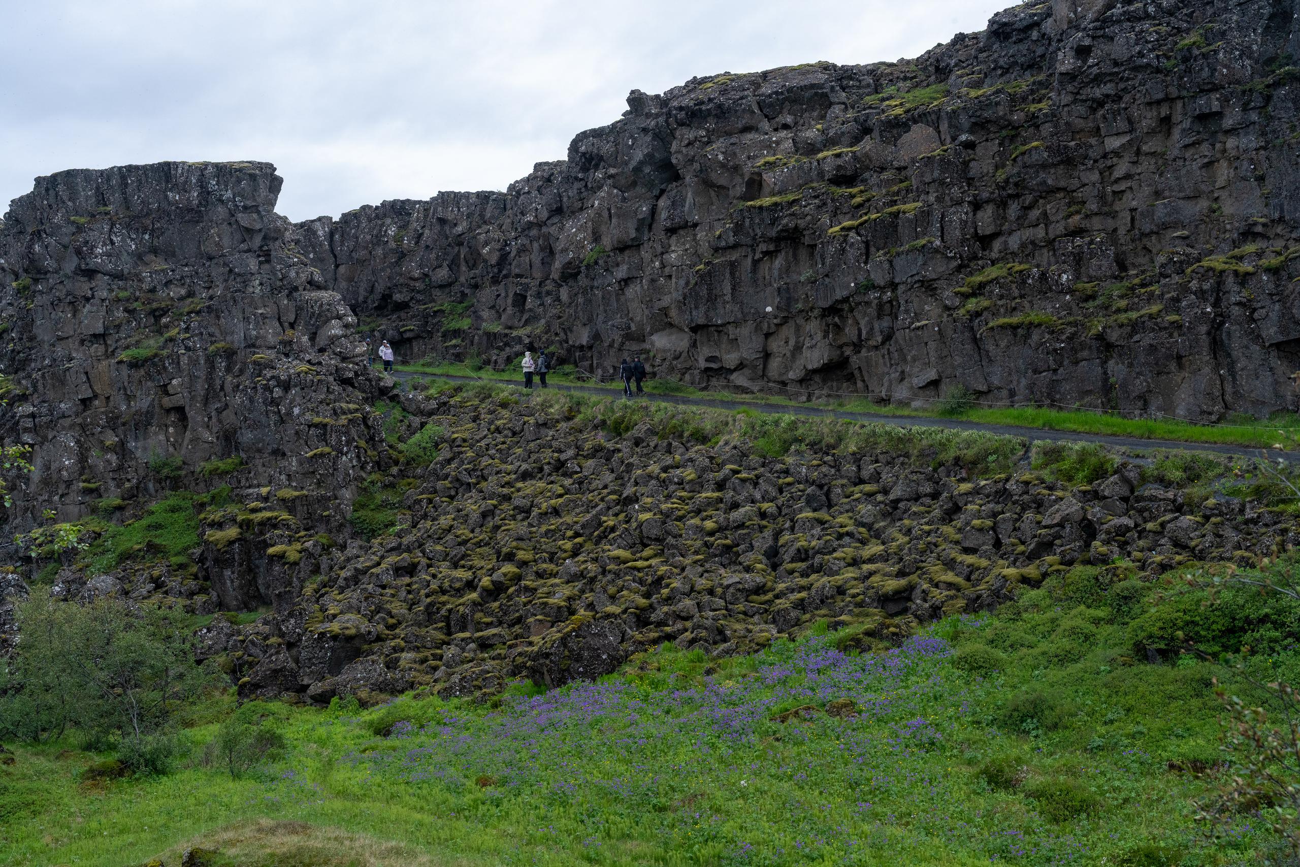 Cloudy geological landscape: A dark gray columnar jointed rock wall full of cracks runs across the middle of the frame. Below the rock wall is a slope made of a large amount of gravel. Green moss and grass grow on the gravel and rock wall. Below the frame is a green grassland and shrubs with small purple flowers. A trail passes along the rock wall, and there are several walking figures on the road.