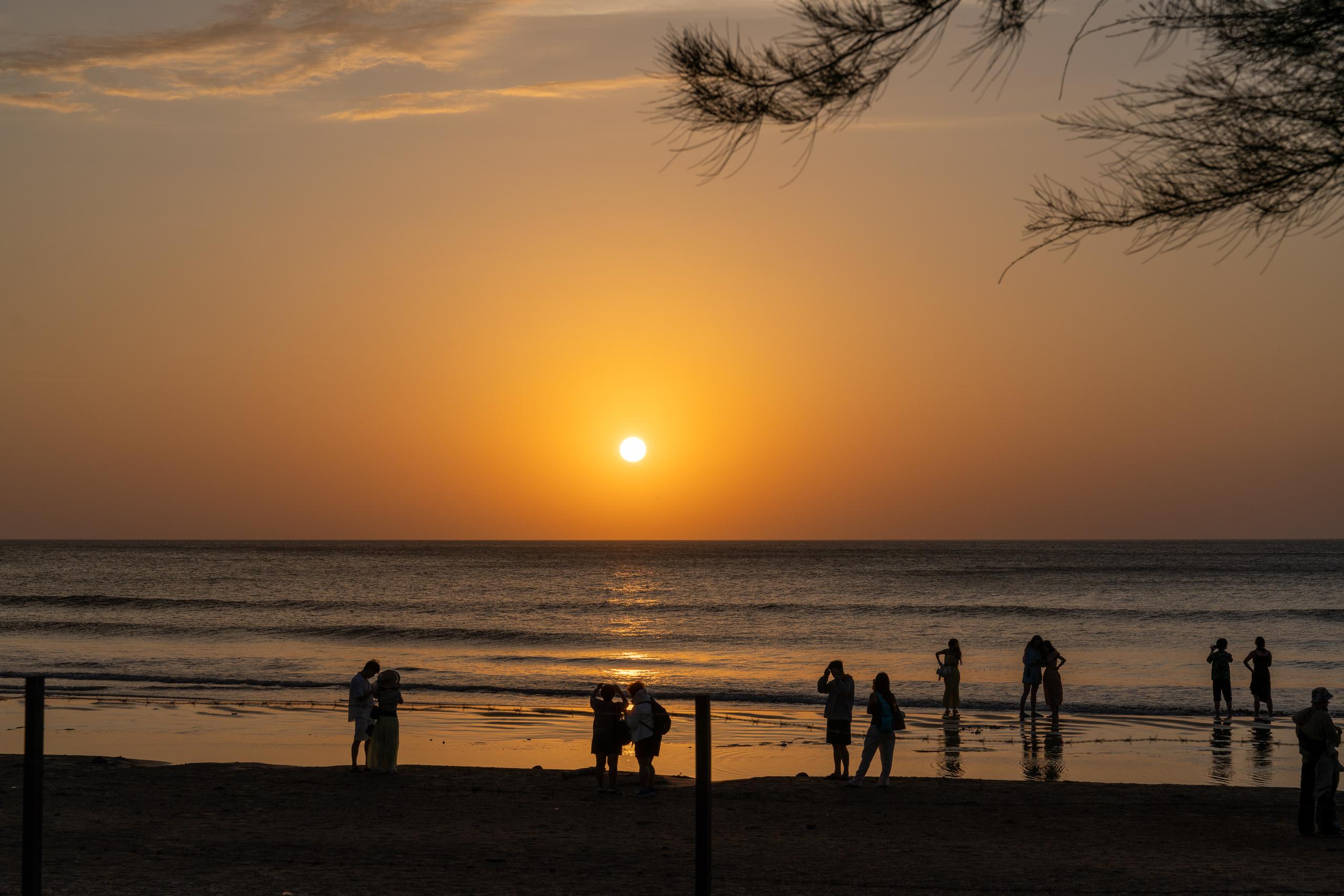 Sunset at the seaside: a bright sun is close to the horizon, dyeing the entire sky and sea into orange-gold, and the sunlight draws a golden reflective strip on the water; the silhouettes of more than a dozen vacationers are scattered on the beach, some standing, some in pairs, and some taking photos; there are silhouettes of pine tree branches extending into the upper and upper right corners of the frame, and the lower half is a dark beach.