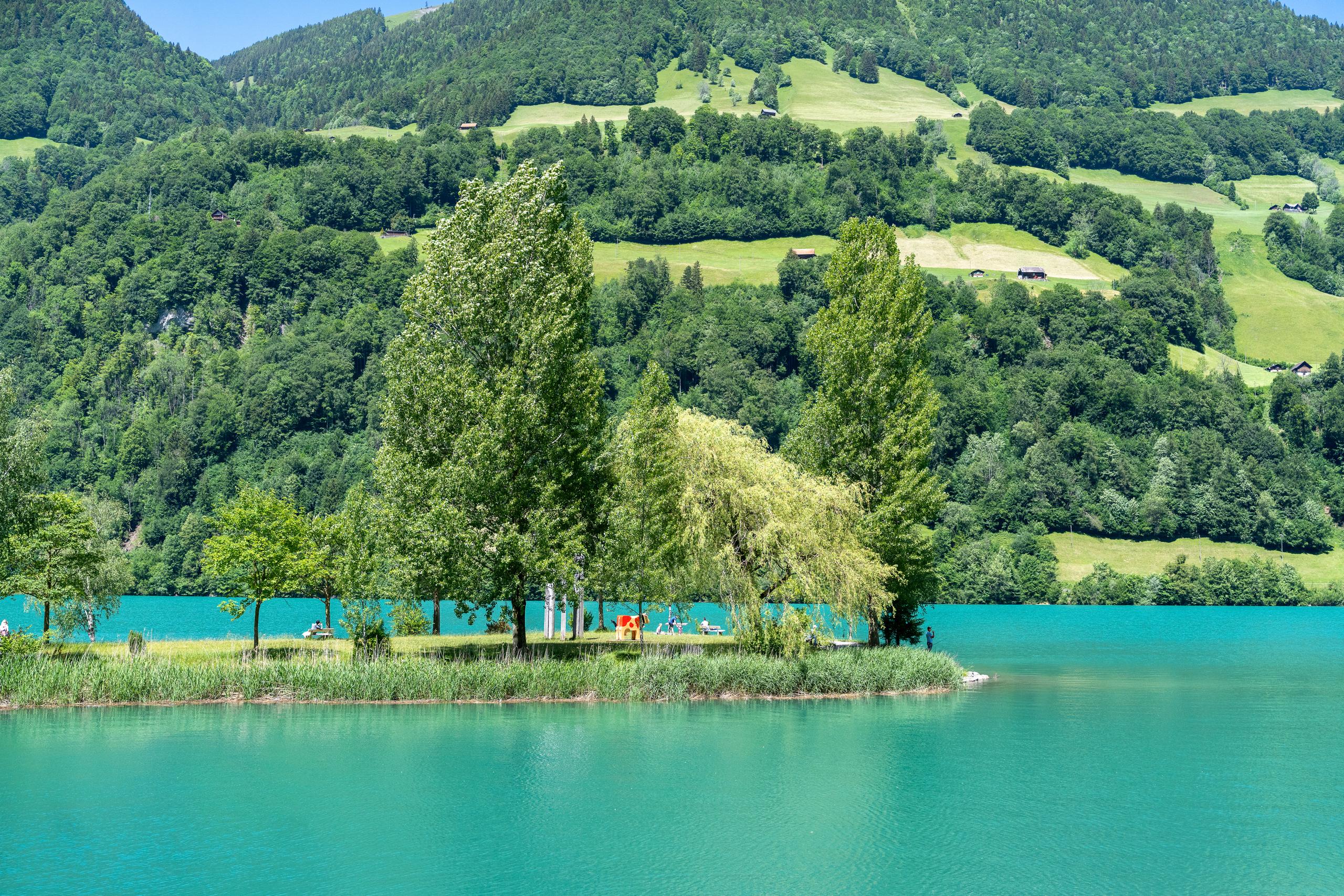 It is an alpine lake on a clear summer day. The lake water is a rich turquoise color that runs across the middle and lower part of the frame. There are several tall broad-leaved trees growing on the grassland on the lakeshore, one of which has drooping branches and leaves. There are sunshades and a few small figures on the grass under the trees. On the other side is a hillside covered with dense forests and bright meadows, dotted with several small houses with dark roofs. The top of the frame is a green ridge.