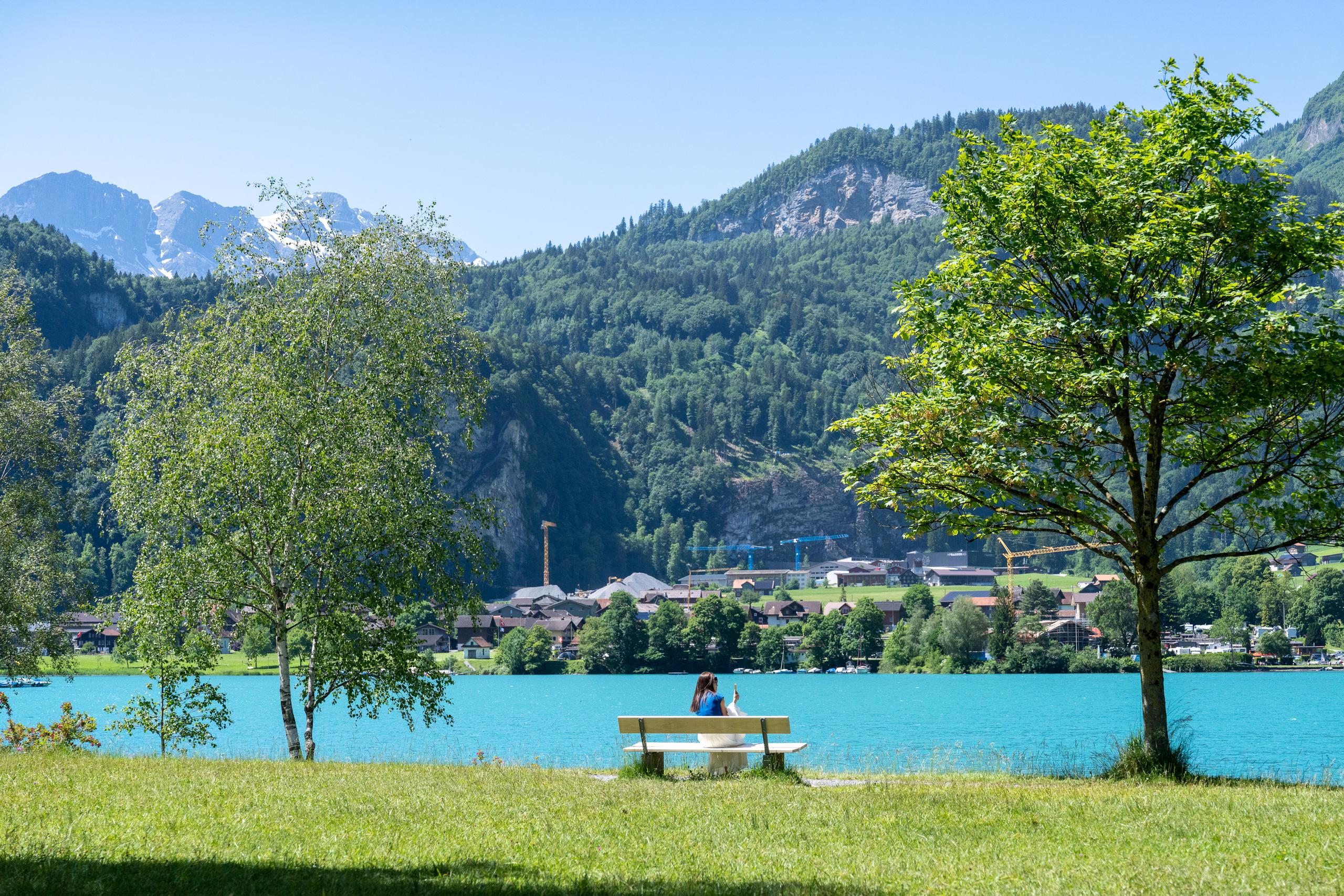 Summer scenery of the lakeside park: the close-up is a green grassland, with a leafy tree on the right side of the frame; a woman sitting on a light-colored bench on the grass with her back to the camera and facing the lake; the mid-ground is the green lake, with green trees, villages and forest-covered hillsides on the other side. There is a mountain peak with residual snow on the top left, and the sky is clean blue.