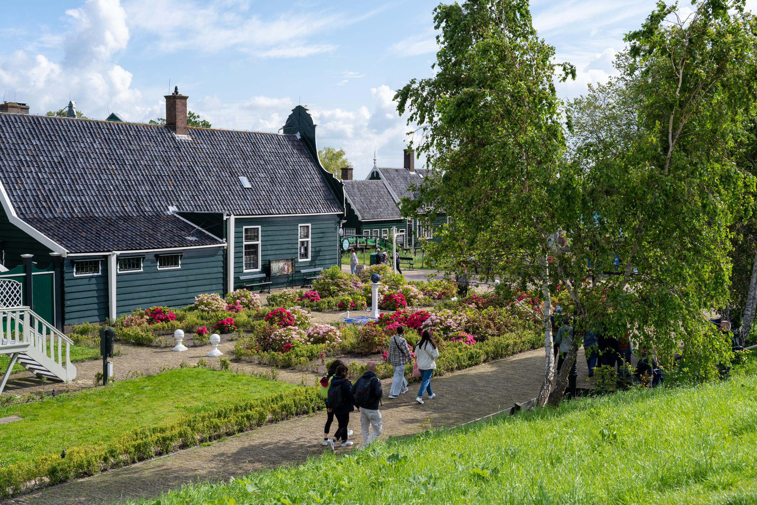 Street scene of a wooden house village during the day: On the left is a long row of traditional houses with dark green wooden walls and dark tile roofs. There is a wooden staircase in front of the house; in front of the house is a neat garden with patches of blooming pink, red, and white flowers and pruned shrubs; there are several groups of tourists walking along a paved path. A group of three people in the foreground have their backs to the camera, and there is a large tree with lush branches on the right.