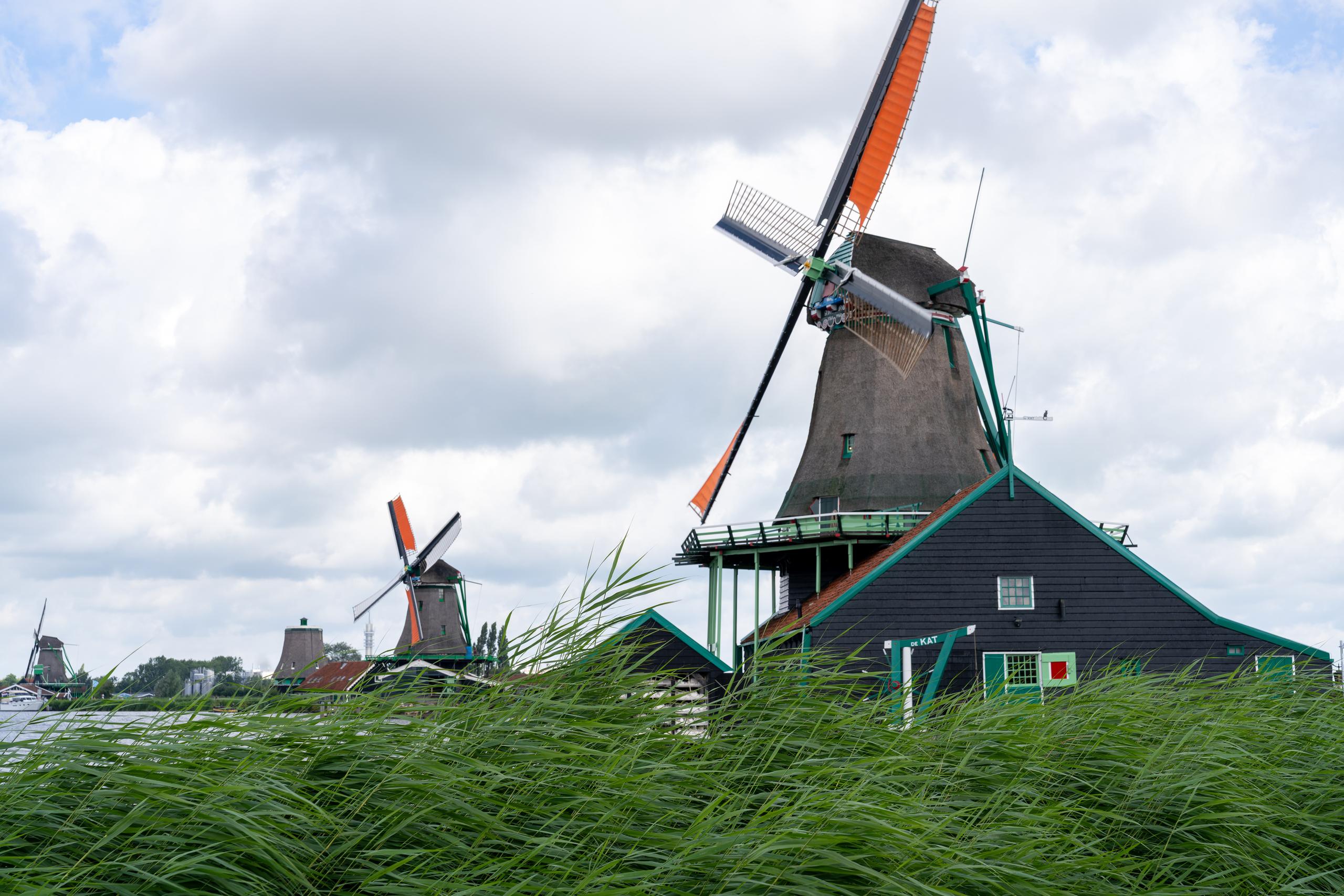 Look at several traditional windmills from a low angle: in the front right of the frame is a tall dark brown tower-shaped windmill, with four huge lattice wind blades on the top partially covered with orange-red canvas. At the bottom of the windmill is a house with dark wooden walls and green window frames; there are two windmills of the same shape in the distance on the left; in the foreground are dense and tall green reeds, and the sky is filled with large gray and white clouds.