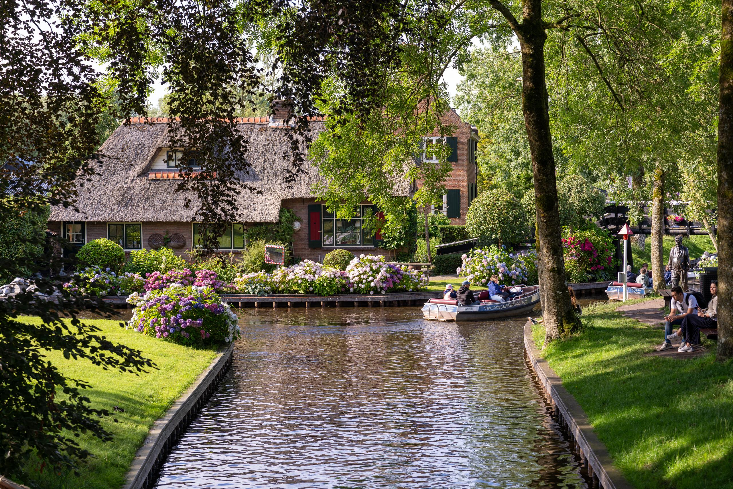 Looking from the shade of the trees to a village water channel: on both sides are green lawns and patches of blooming pink and purple hydrangeas. On the opposite bank to the left is a brick house with a large reed and thatch roof. In the water channel, a small light-colored cruise ship carrying several tourists is slowly passing by, with dark stripes on the hull. On the right side of the bank, there are people sitting on benches under the trees and resting on the grass. The leaves form a natural frame frame above the frame.