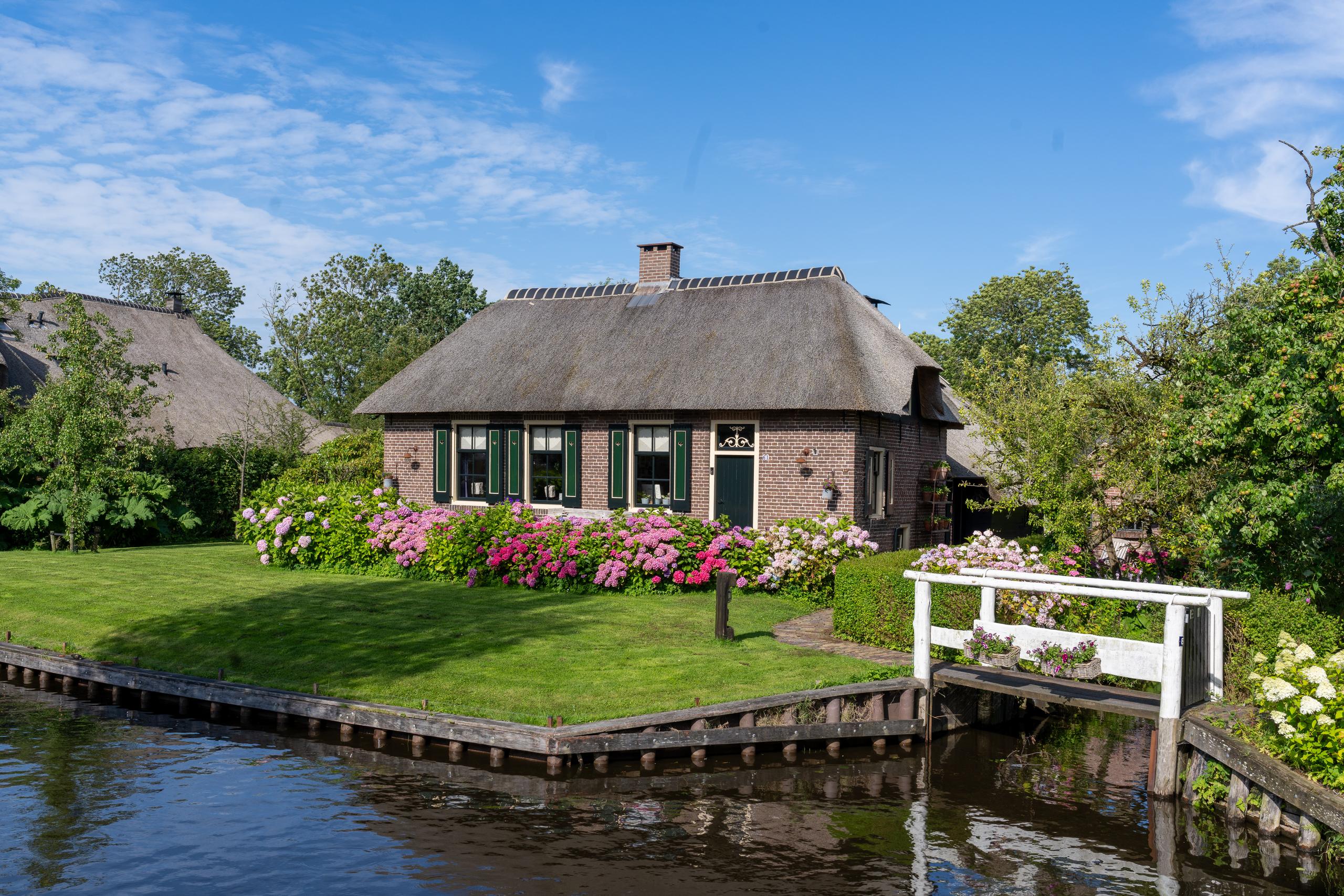 Houses by the canal on a sunny day: In the center of the frame is a traditional single-story brick house with a large reed thatched roof and a brick chimney. Black solar panels are lined up on the roof. In front of the house is a flat green lawn, with a long row of blooming pink, purple and white hydrangeas planted along the water bank. A small white wooden bridge crosses the waterway on the right bank. The calm water reflects the scenery on the shore and the blue sky.
