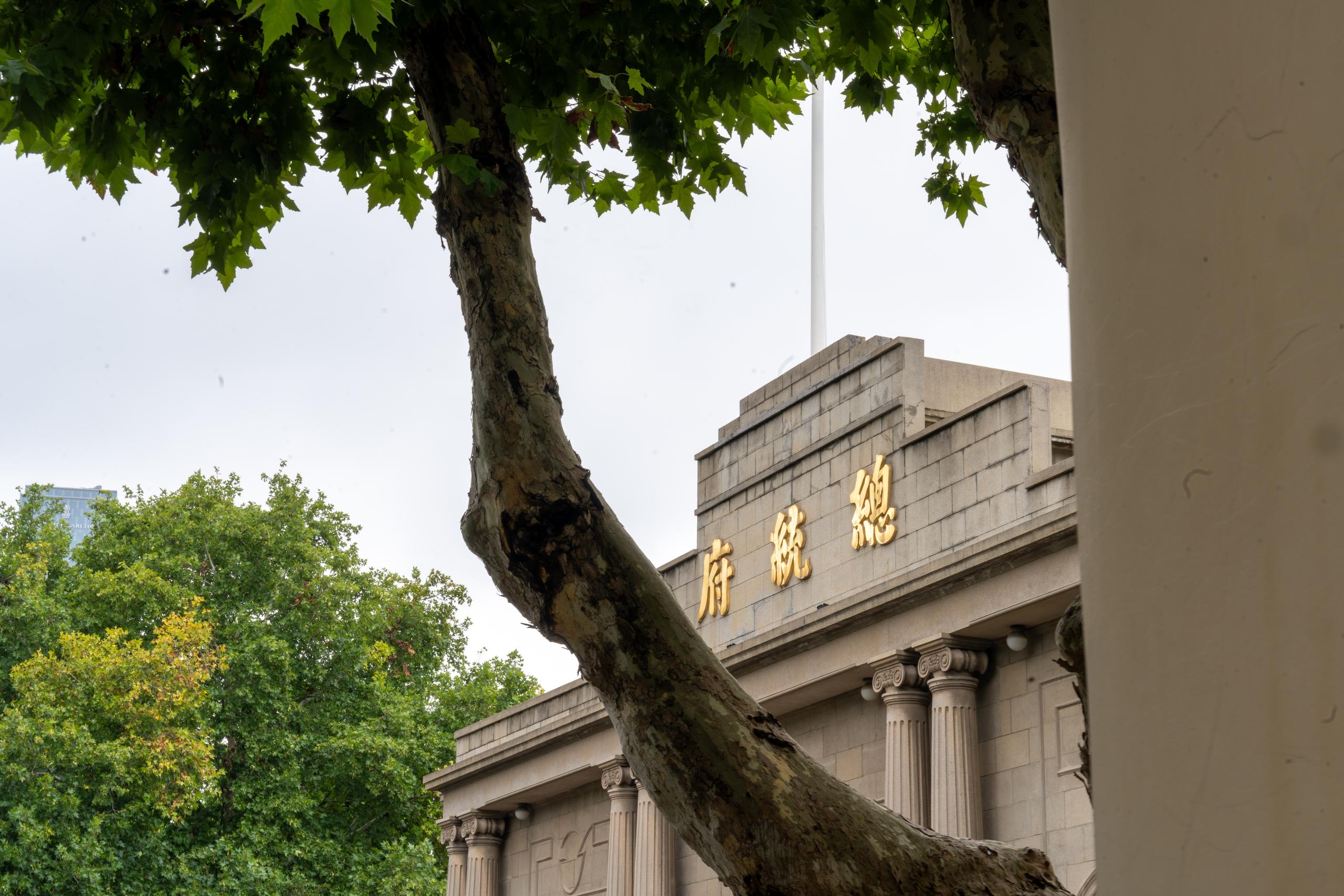 Part of a large public building on a cloudy day: several large golden characters are arranged horizontally above the light gray stone facade to the right of the center, and the facade is decorated with stone lines and columns; a thick tree trunk with mottled bark and dense leaves extends from the left side of the foreground, almost covering the left third of the frame; on the right is a thick white column; the sky is gray.